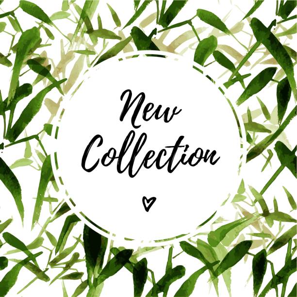 New Catalog-New Collection
